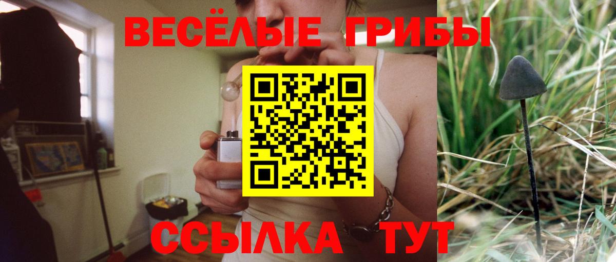 Галлюциногенные грибы Psilocybe Краснокаменск